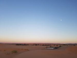 Tagestour-zum-Sahara-Yoga-Camp-​4